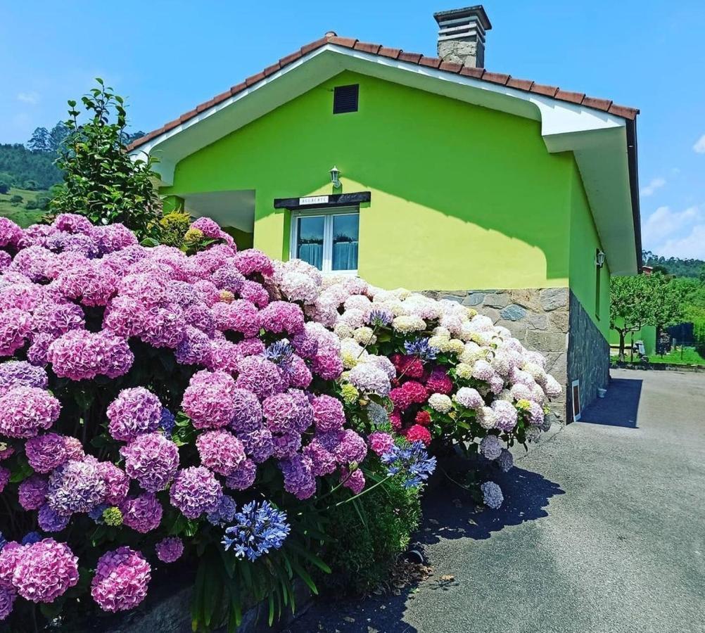 Casina Verde Manzana فِيافيثيوسّا المظهر الخارجي الصورة